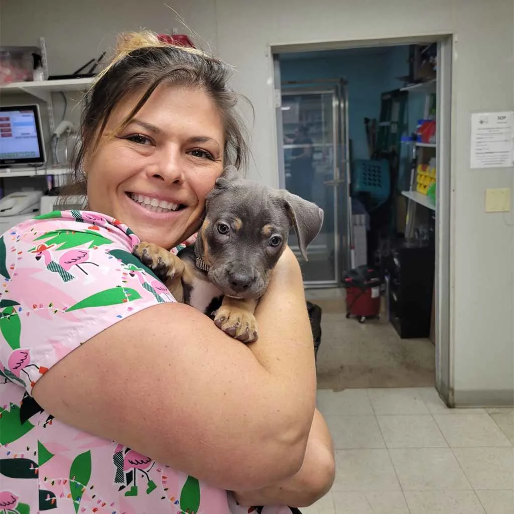 Our Veterinary Team