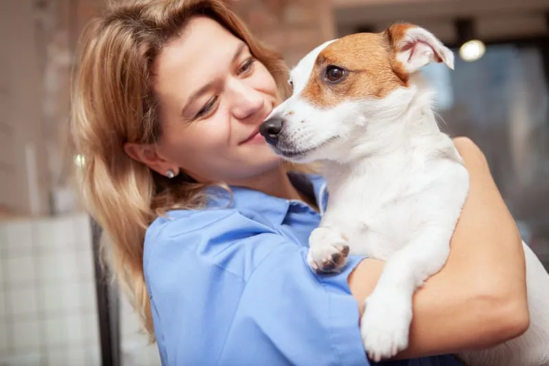 How to Get Rid of Worms in Dogs