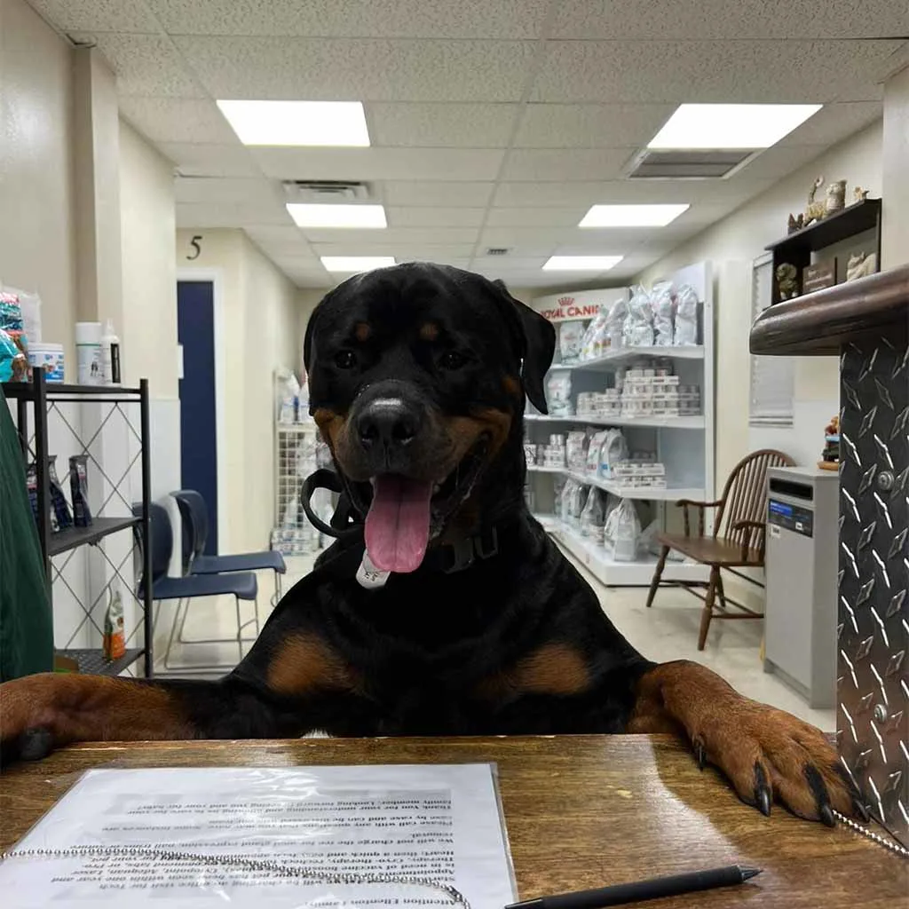 Our Patients