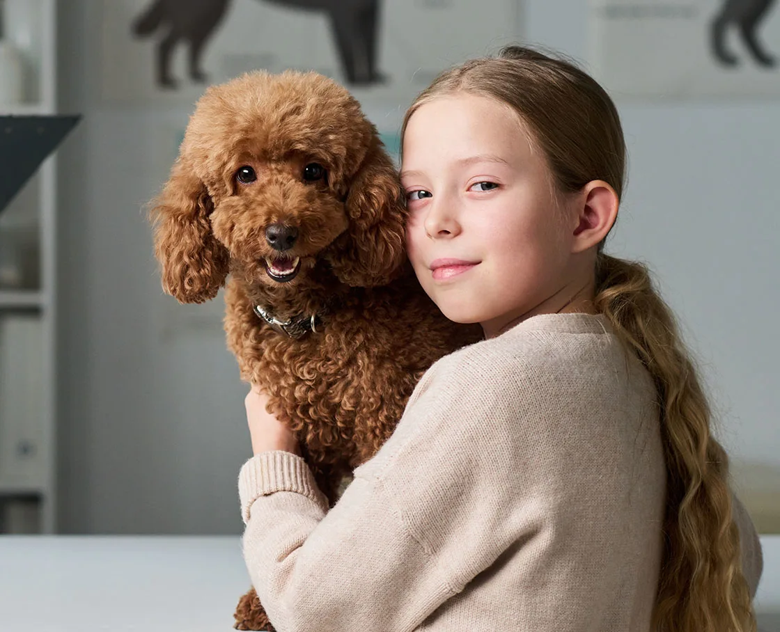 holistic vet care