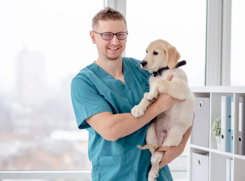 What Happens At A Puppy’s First Vet Visit