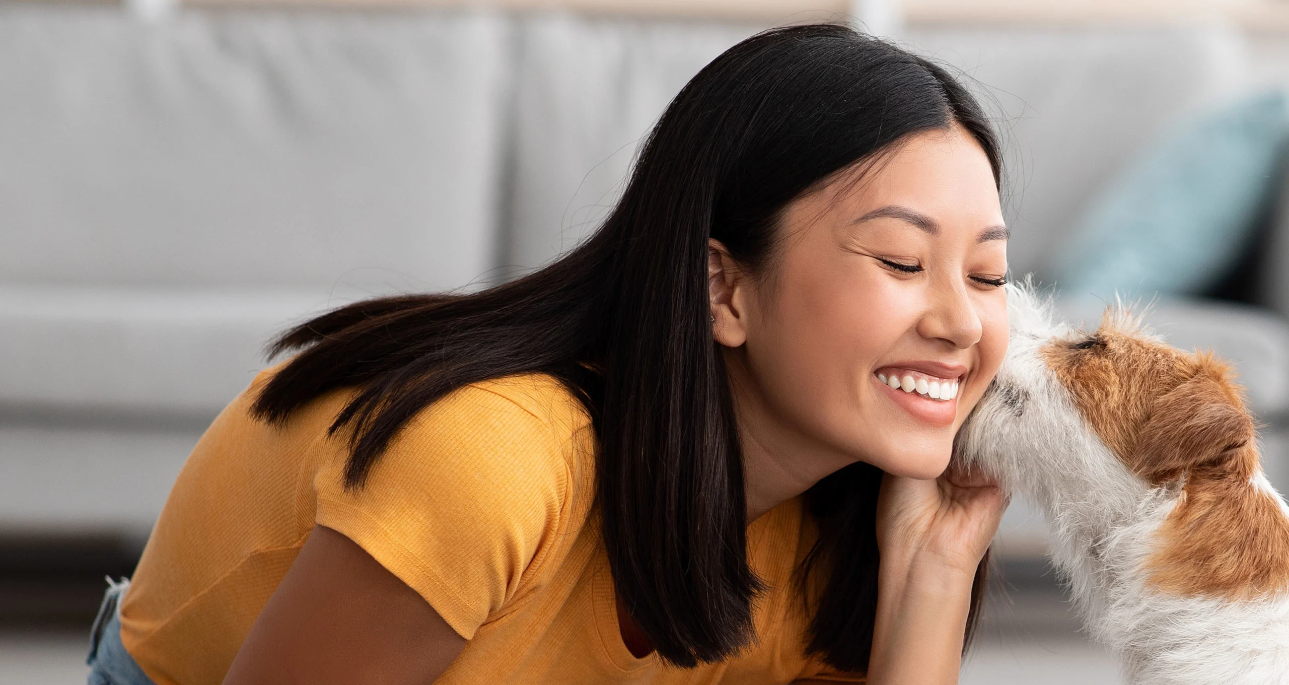 h woman in yellow shirt getting kissed by jrt in front of a grey couch