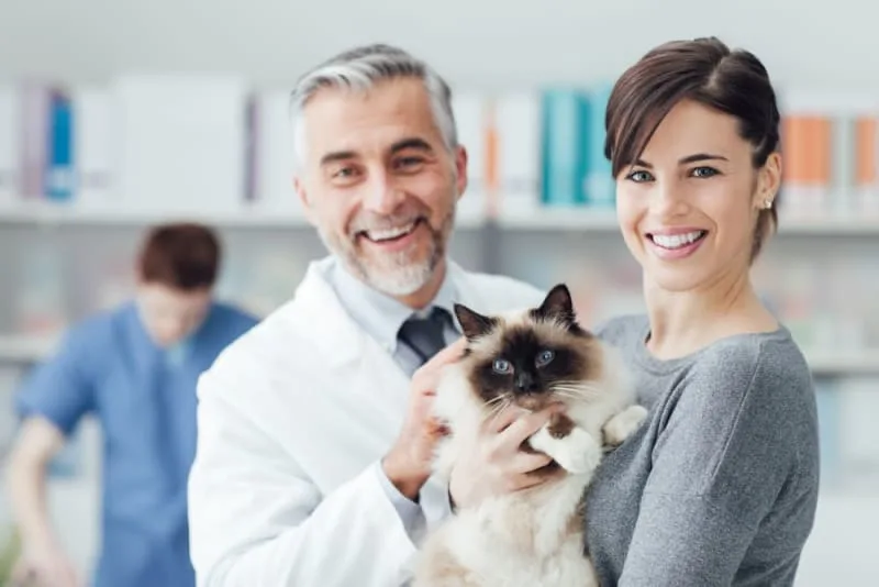 Essential Cat Vaccinations