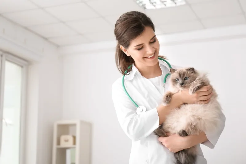 What to expect at your pet's annual exam