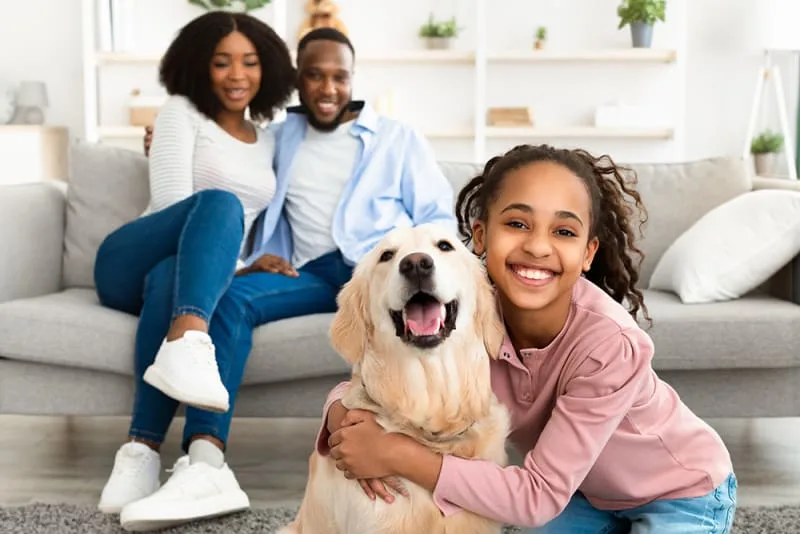 Dog Dental Cleaning: What You Should Know