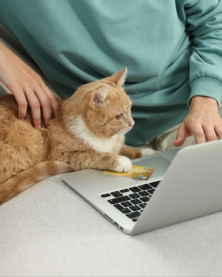 cat and woman at computer with credit card