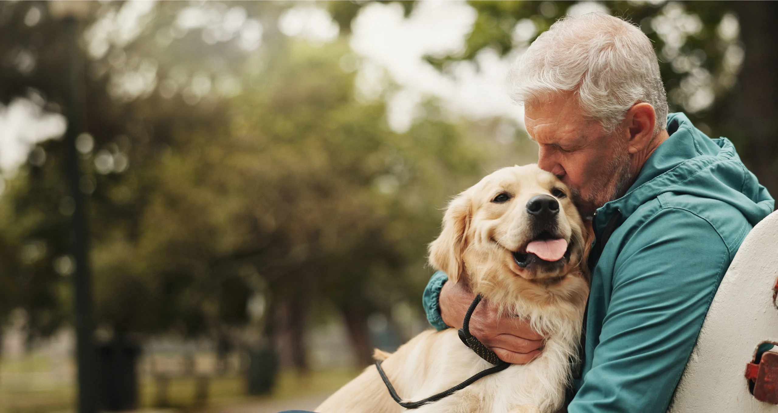 h white haired man kissing muzzle of english cream on a park bench