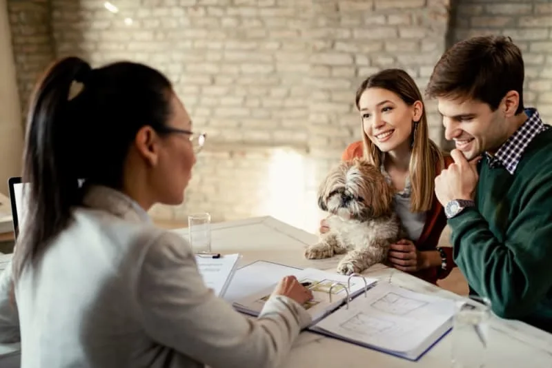 Pet Wellness Plans vs Pet Insurance