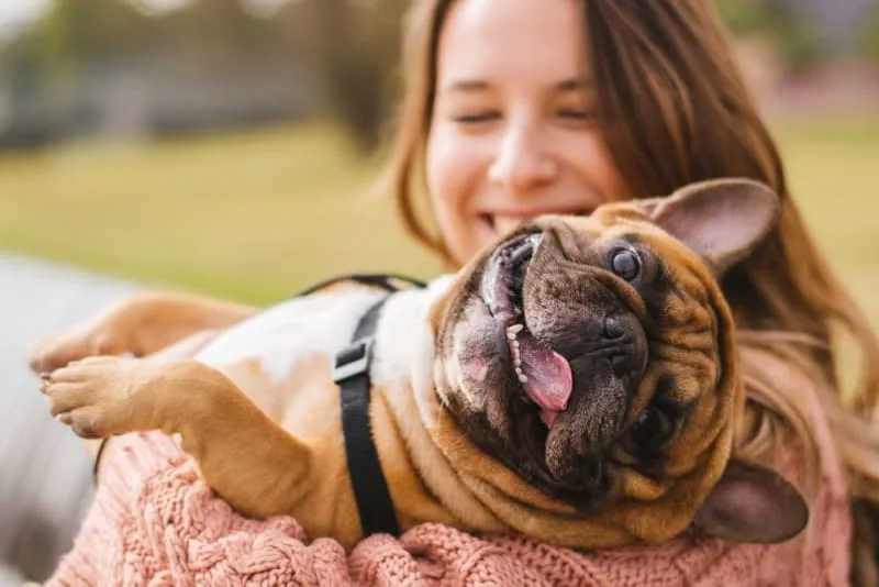 6 Things You Can Do to Keep Your Dog Healthy