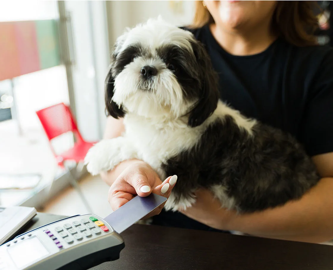 Cheerful dog owner paying for veterinary services and haircut of her adorable shih tzu dog at the vet