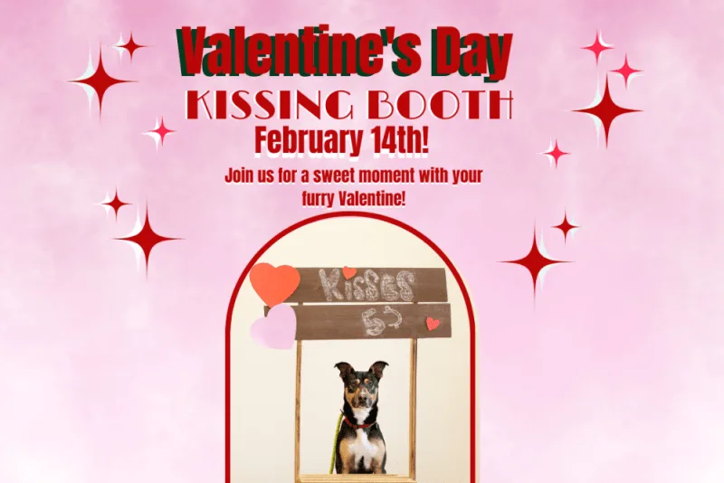 Cuteness Overload at Our Valentine's Day Pet Kissing Booth