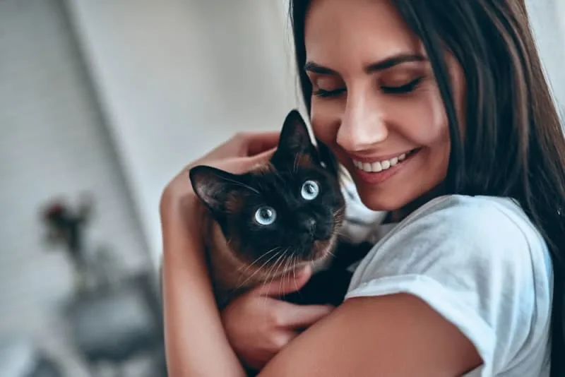 How to Take Care of a Kitten: Complete Guide