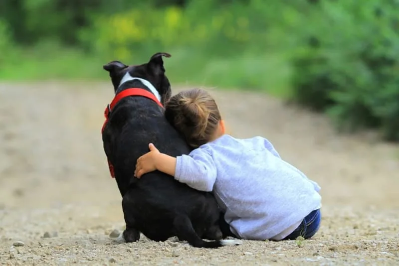 Best Dog Breeds for Kids