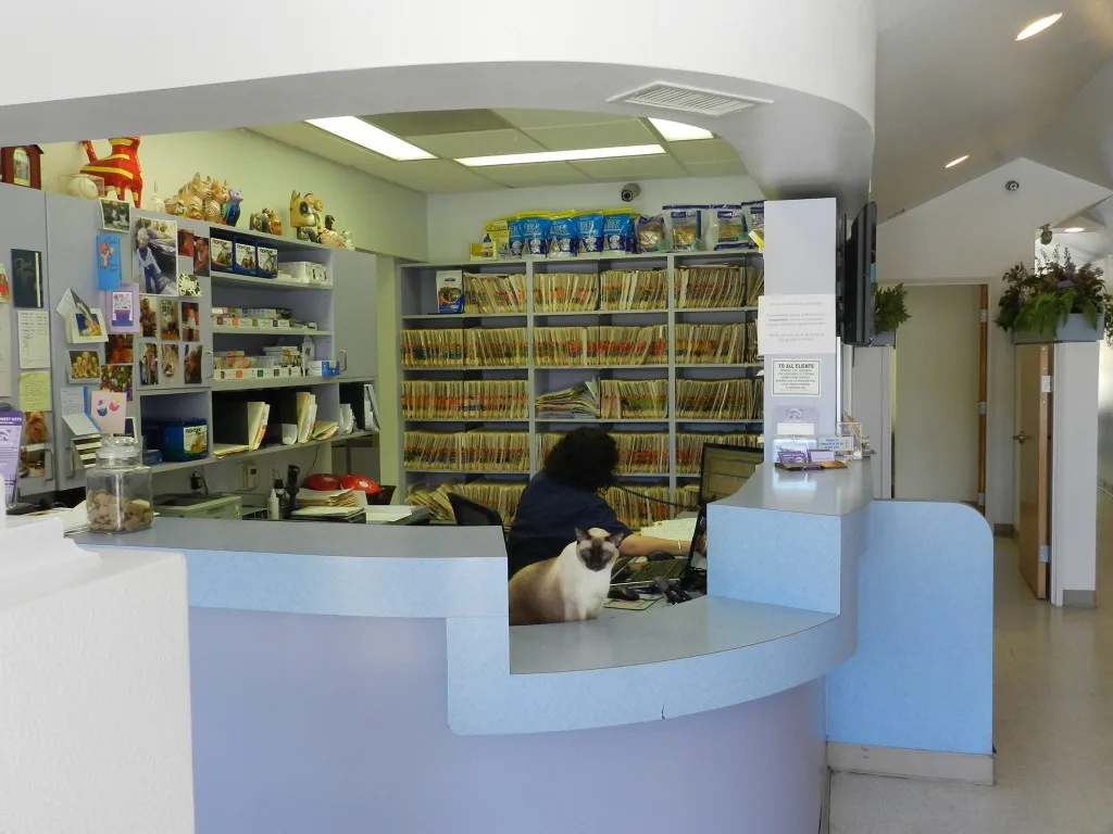 LA vet hospital