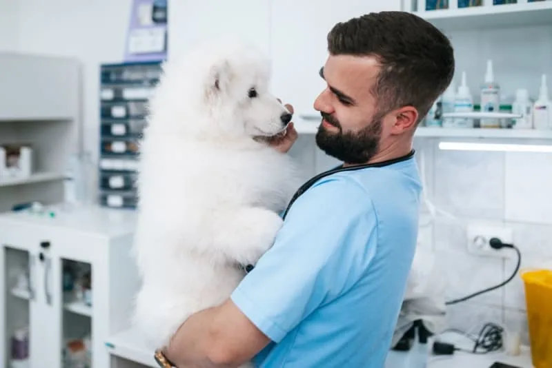 Puppy’s First Vet Visit: Checklist & What to Expect