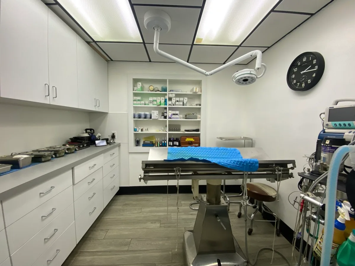 Treatment Room