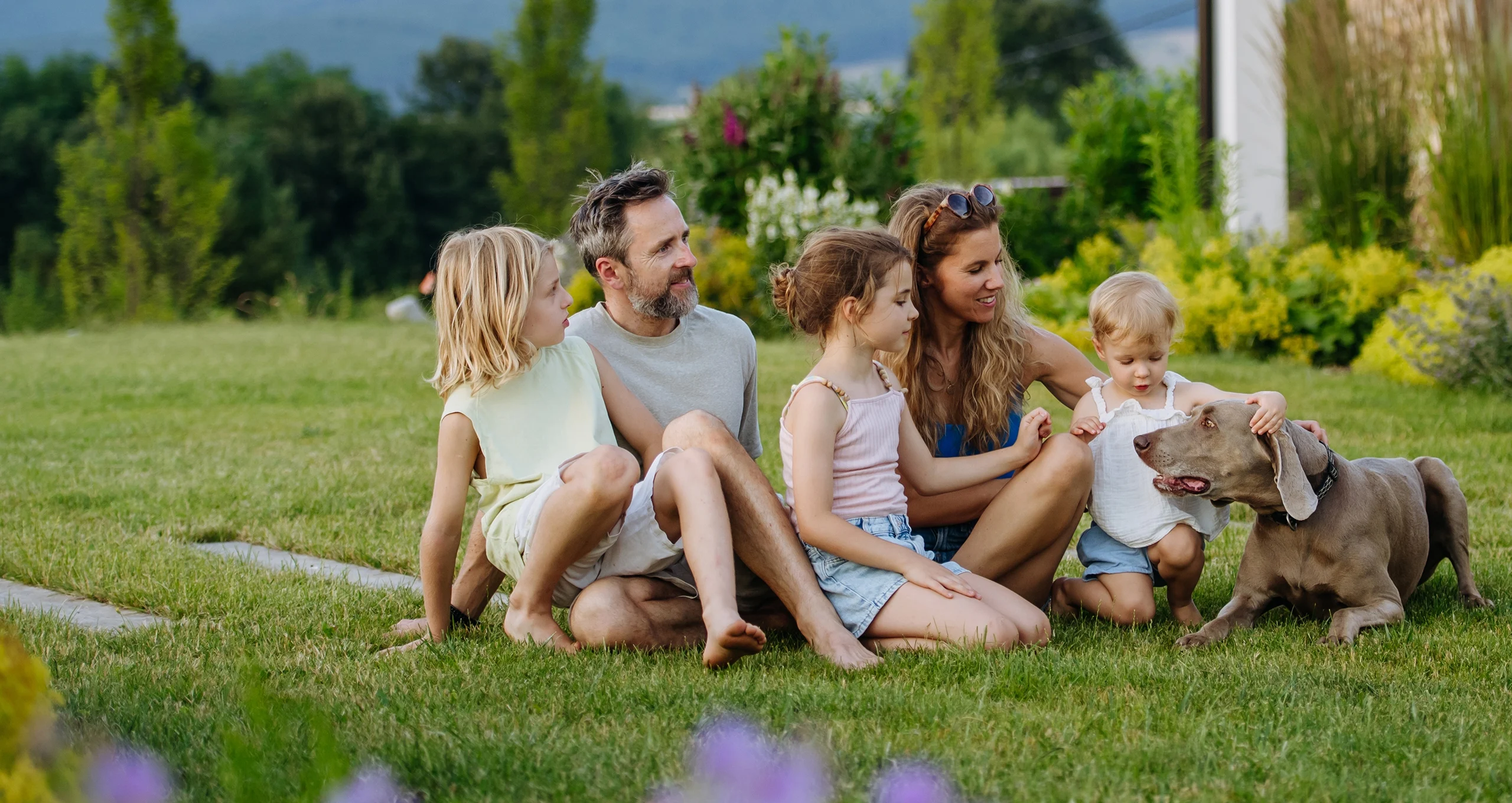 h family sits outside backyard with weimareiner