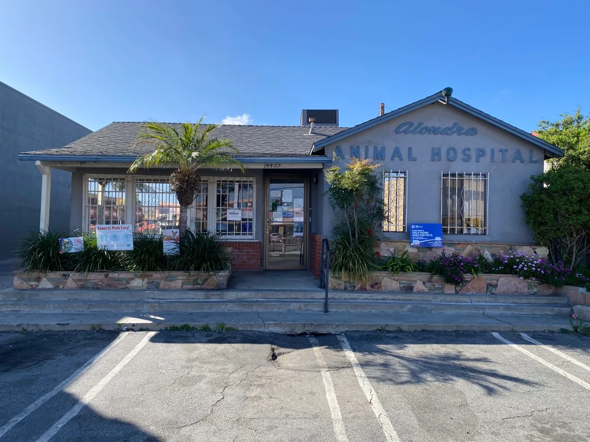 Our Hospital Exterior