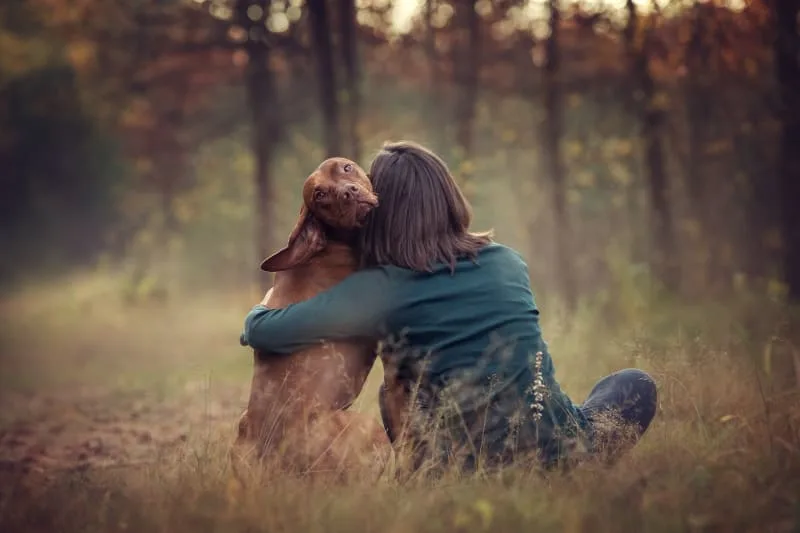 Can a Vaccinated Dog Get Rabies?