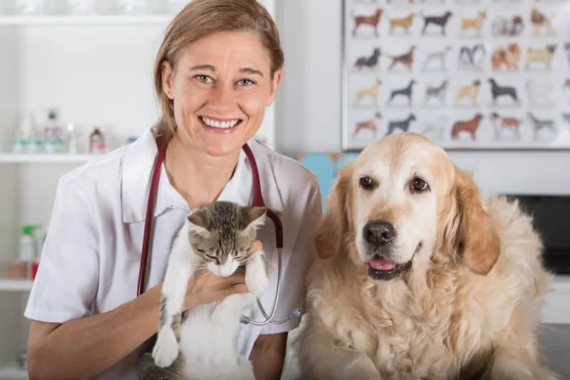 Routine Vet Exams: Why Are Regular Veterinary Checkups Important?