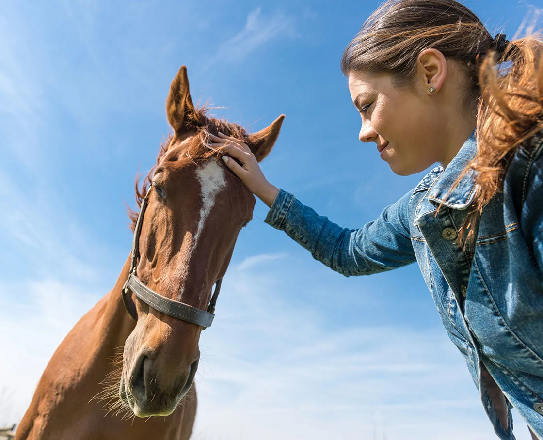 girl sitting on fence petting horse
