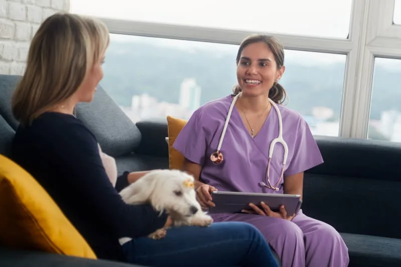 Annual Dog and Cat Exams and Why They Are Important