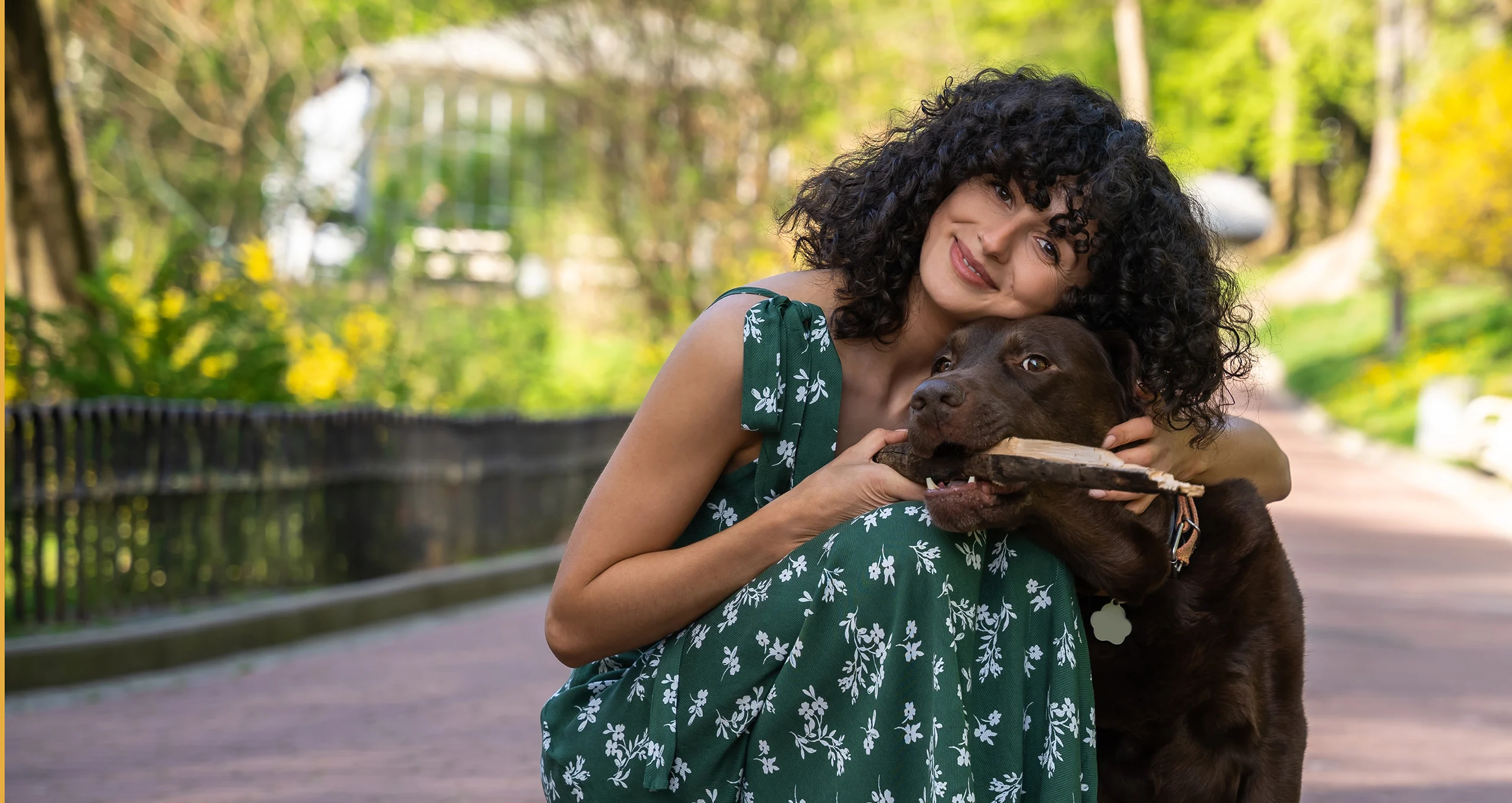h woman in green dress with chocolate lab in park path with big stick in its mouth