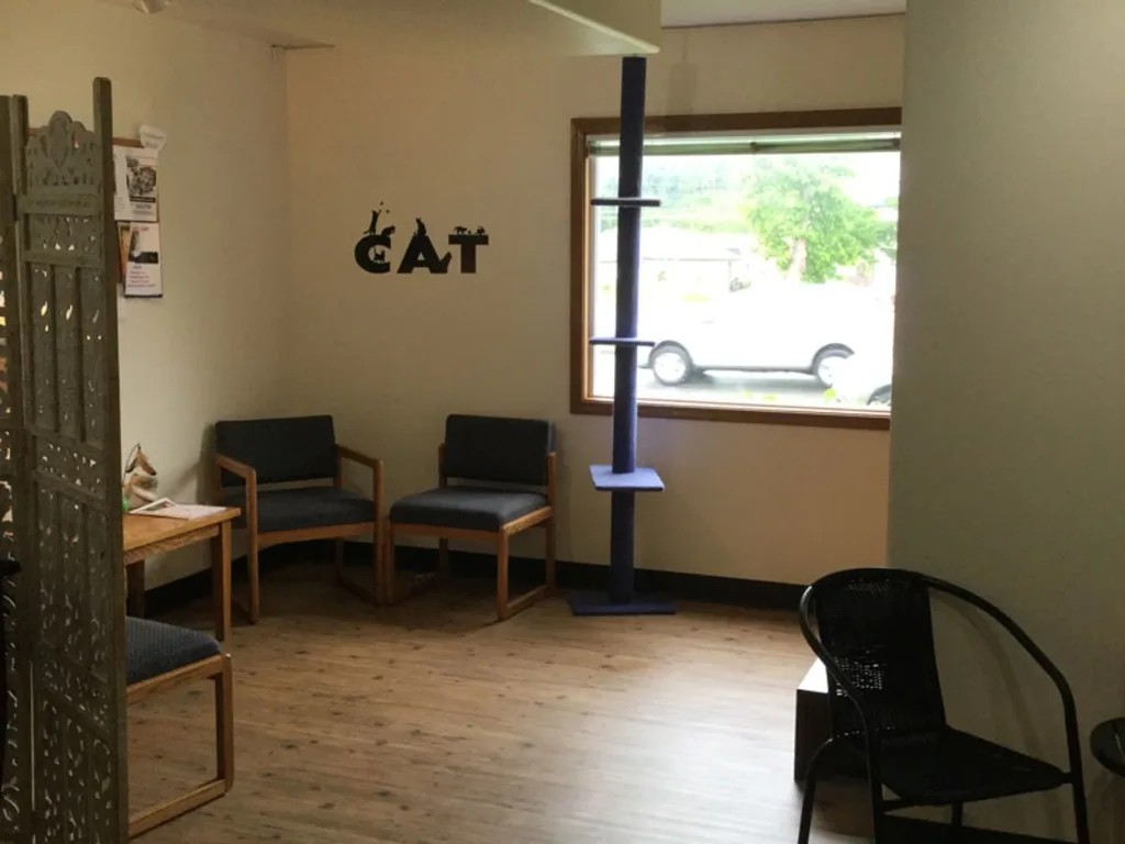 Our Waiting Room