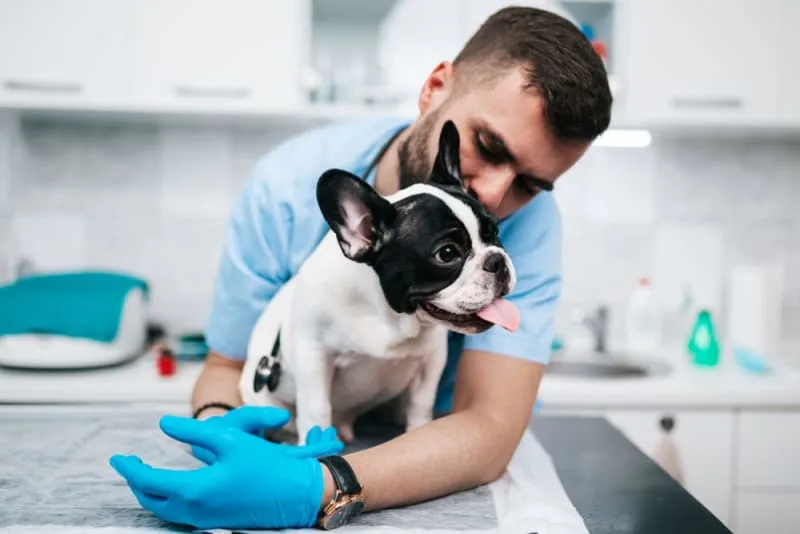 Puppy Vaccination Schedule