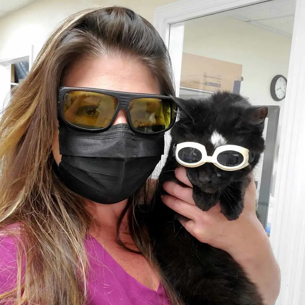 Our Veterinary Team