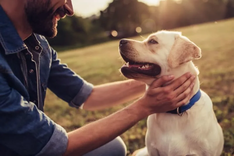The 10 Best Dogs for First-Time Dog Owners