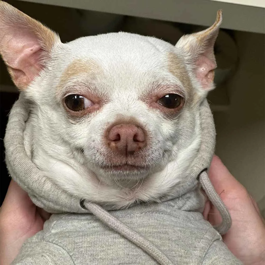 Our Patients