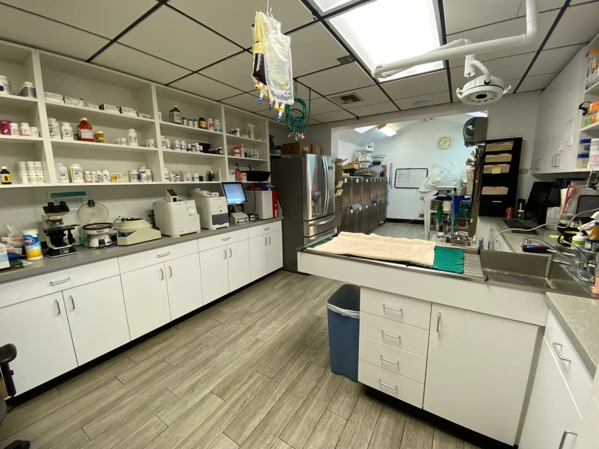 Veterinary Technology