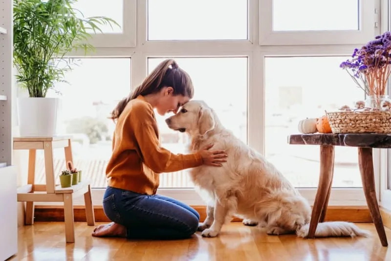 The Most Common Dog Illnesses: Symptoms and Treatment