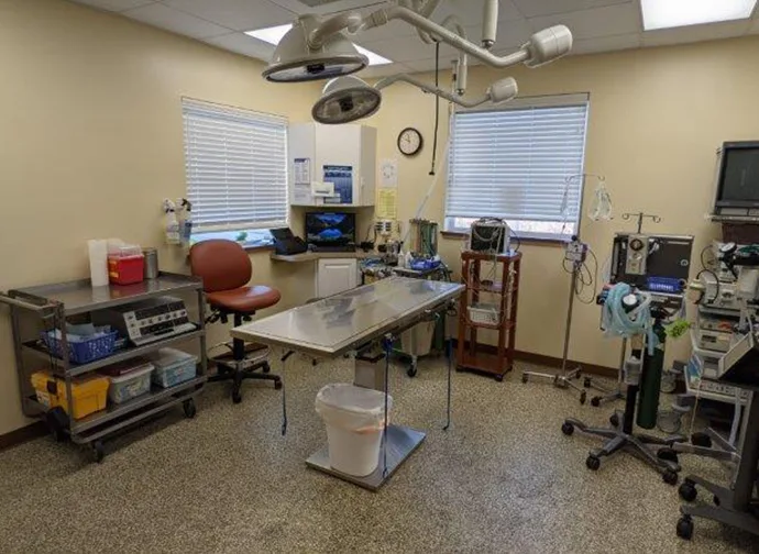 Surgery Suite