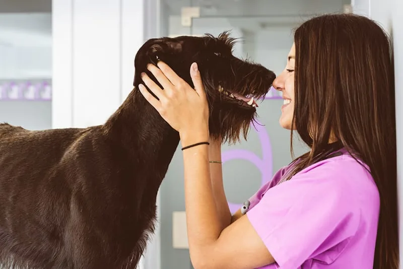 How often should I take my dog to the vet?