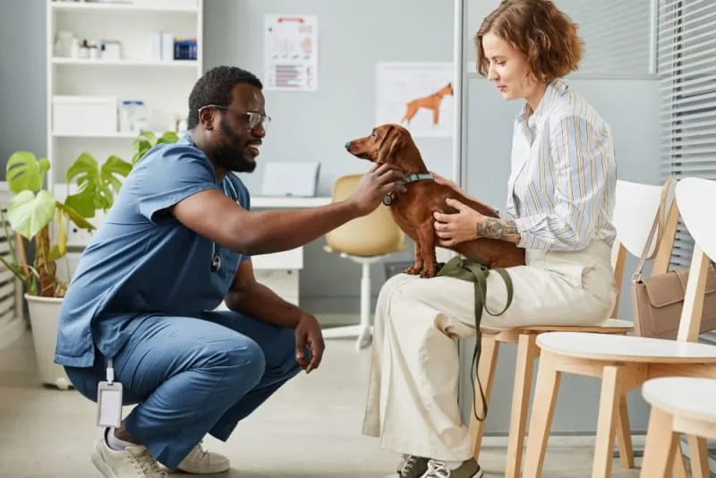 Puppy Vaccination Schedule