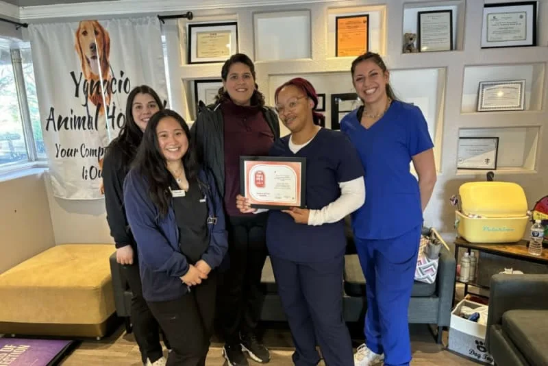 Nothing But Love For Ygnacio Animal Hospital!