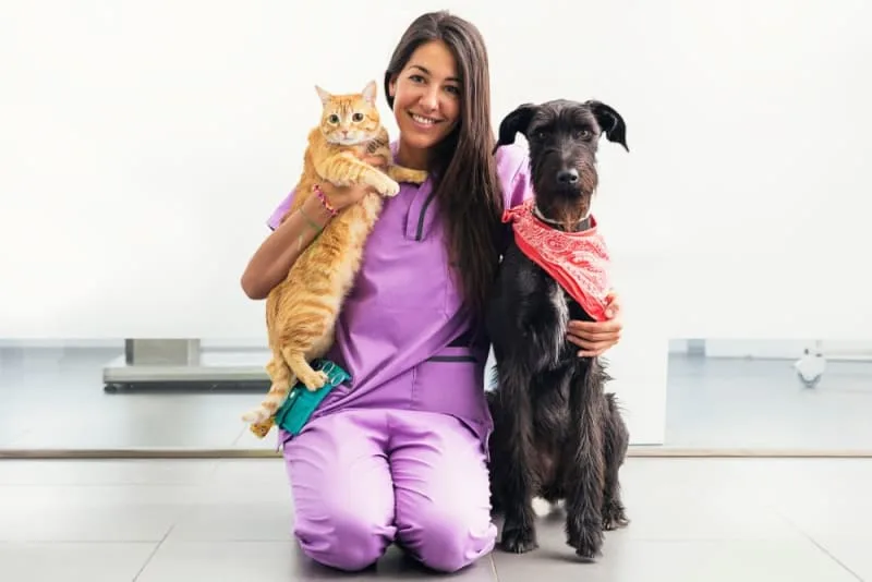 Routine Vet Exams: Why Are Regular Veterinary Checkups Important?