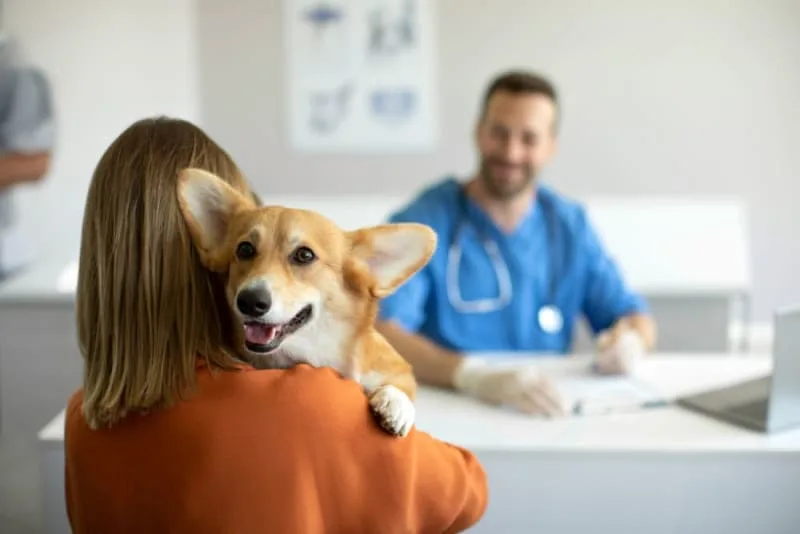 Why should I bring my pet in for a fecal exam?