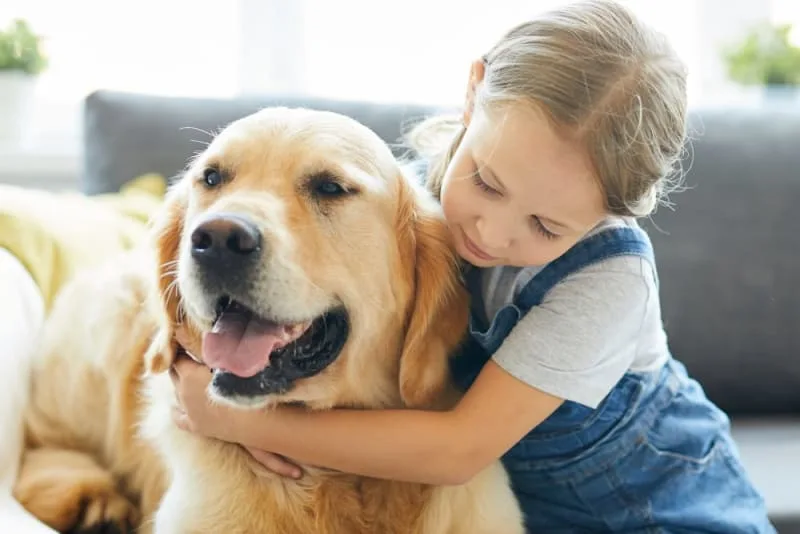 The Friendliest Dog Breeds