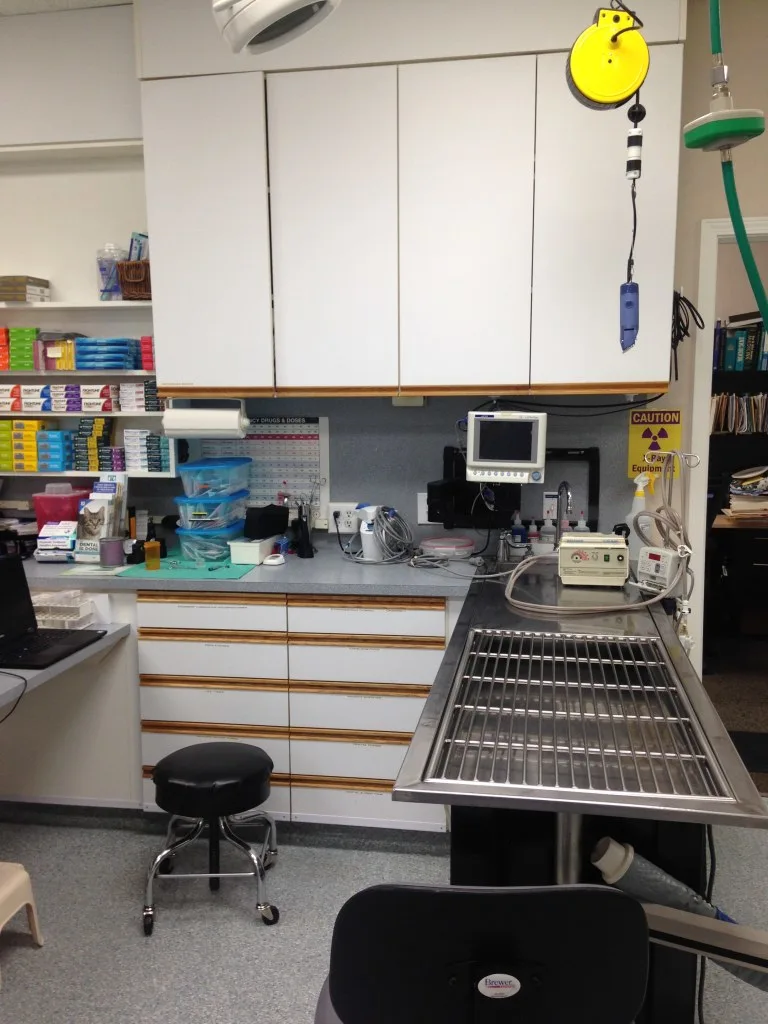 Primary dental area