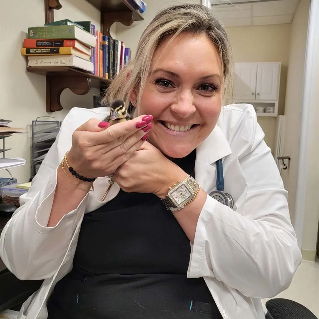 Our Veterinary Team