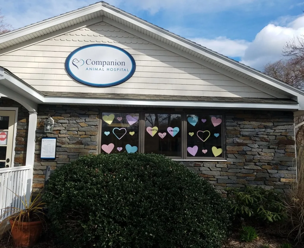 Vet clinic front view