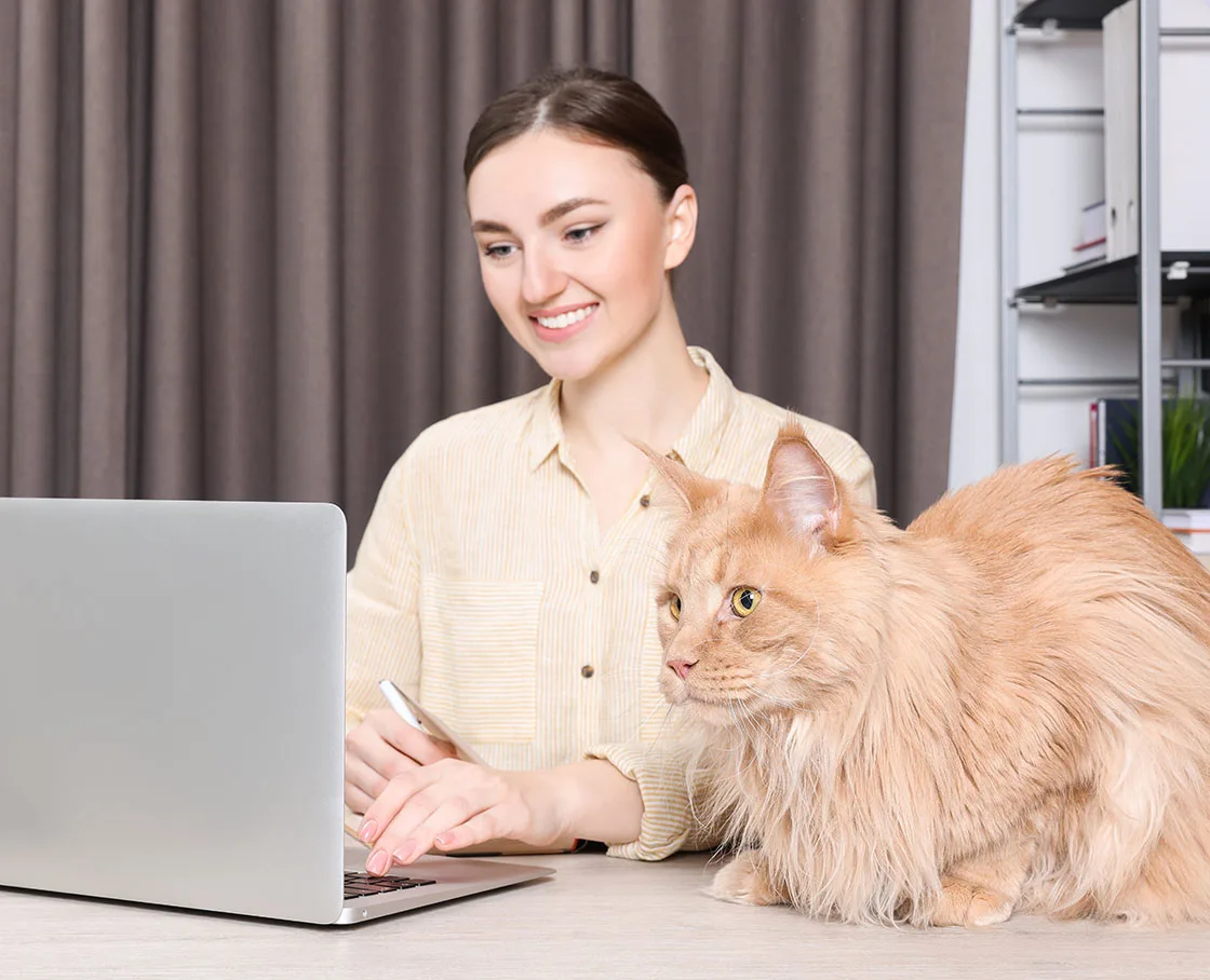 Woman working at desk on computer with long hard cat