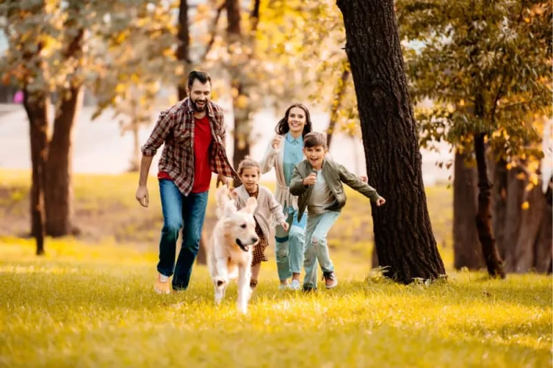 Fun Dog Facts for Kids