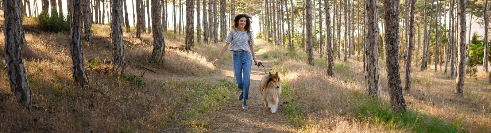 Pet Lyme Disease, Williamsburg Vet