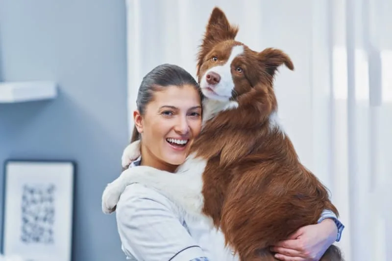 What Is Medical Pet Boarding?
