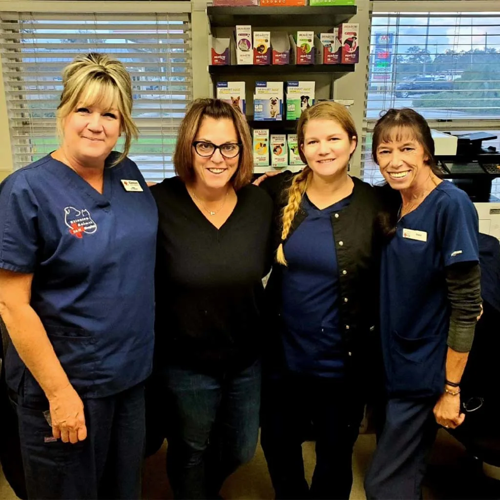 Our Veterinary Team