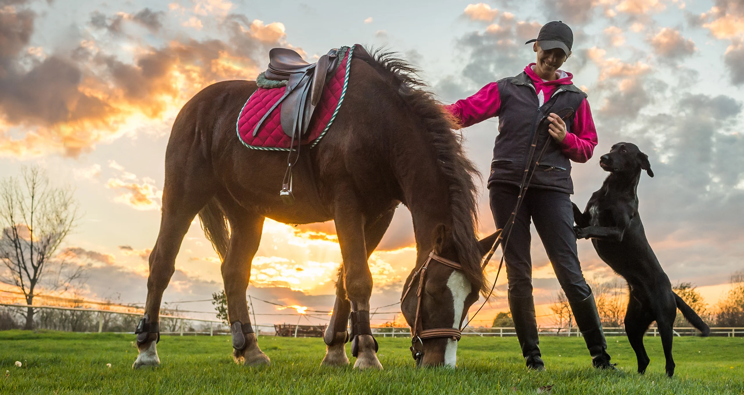 h woman with horse and black lab in pasture